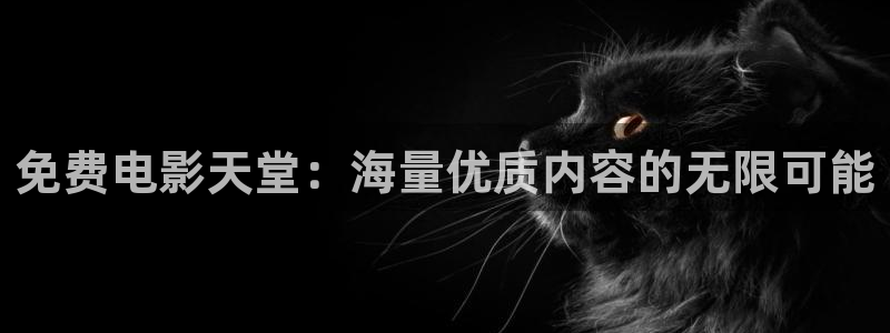 51视频在线一区