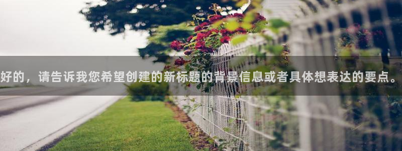 51视频网站：好的，请告诉我您希望创建的新标题的背景信息或者具体想表达的要点。