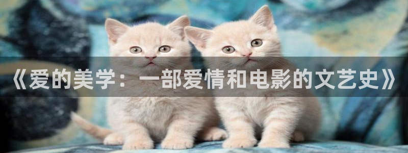 51视频免费版下载：《爱的美学：一部爱情和电影的文艺史》