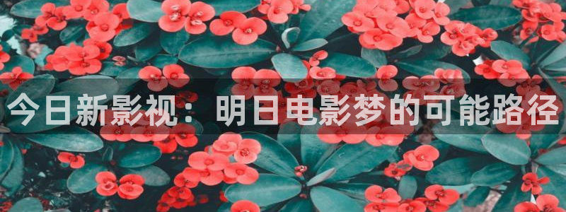 51视频国产精品：今日新影视：明日电影梦的可能路径