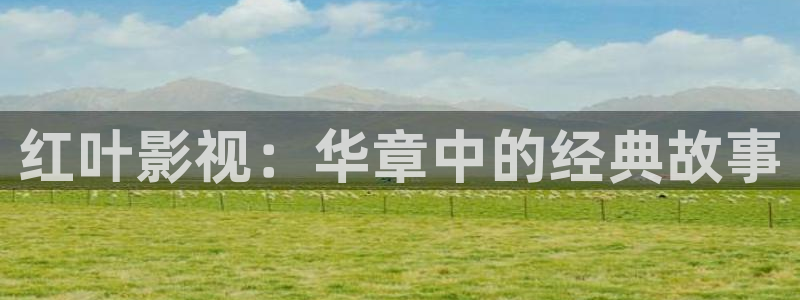51视频一区二区