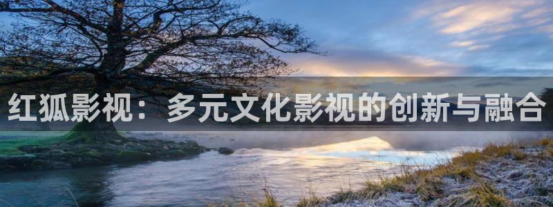 51视频在线视频