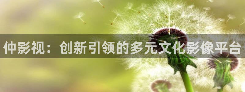 51视频免费观看视频