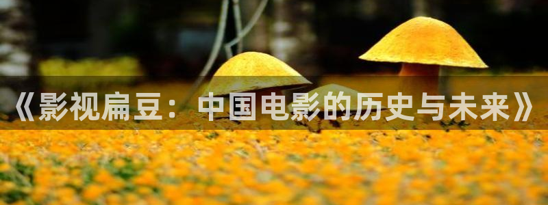 51视频污污污：《影视扁豆：中国电影的历史与未来》