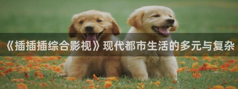 51视频首页：《插插插综合影视》现代都市生活的多元与复杂