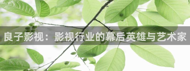 51视频.